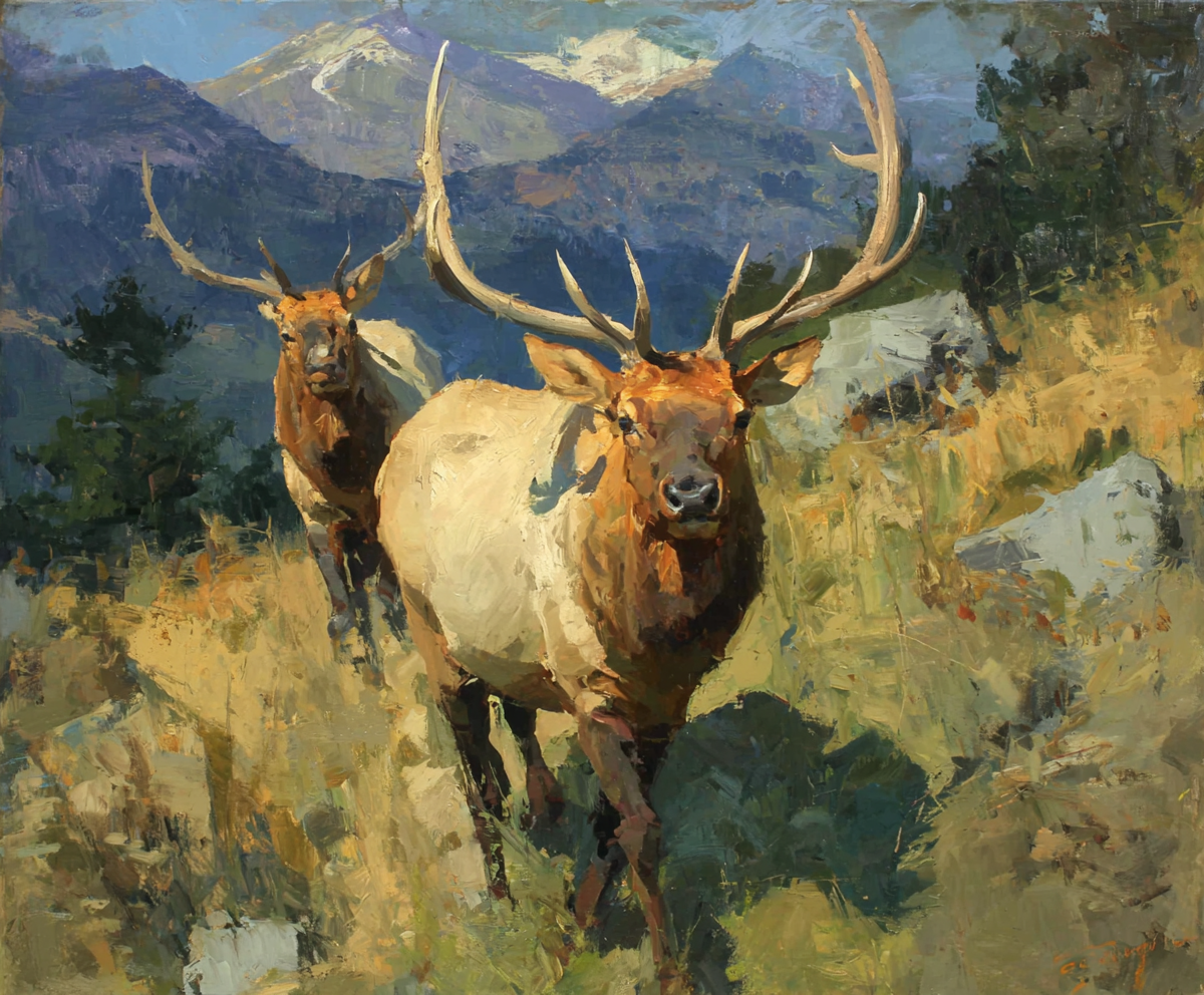 High Country Bulls